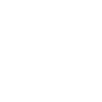 X Van color 200x200 (1)